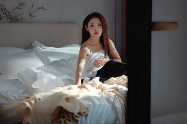 Pregnant and Promoted Dailymotion Cast