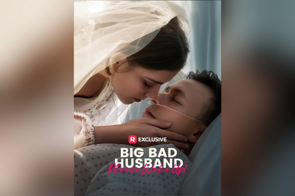 Stand Up My Billionaire Husband Dailymotion Full Movie