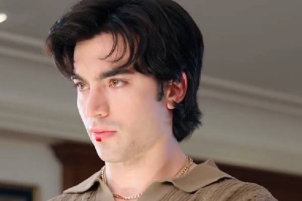 The Price Of Loving You IMDB