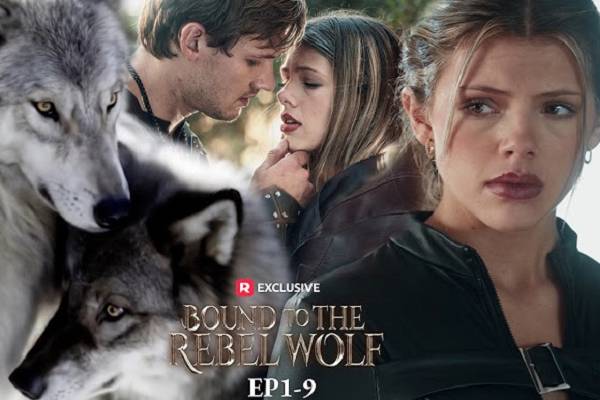 Bound To The Rebel Wolf Book
