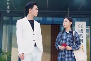 Dumping My Billionaire Husband dailymotion: A Chinese Billionaire