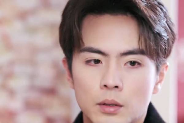 Falling For My Gold-Digger Wife Cast