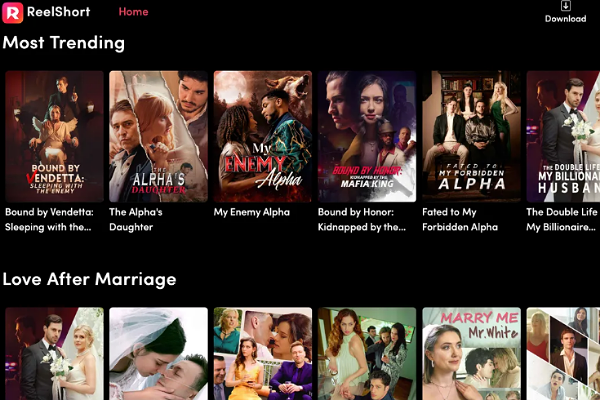 Nanny and Boss Romance Movies