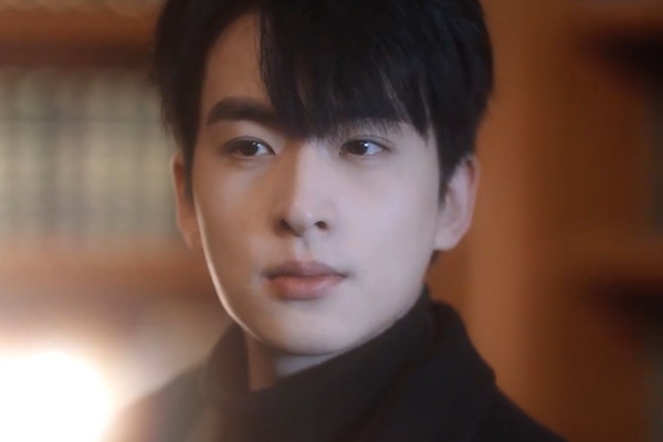 Heiress of Vengeance Chinese Drama