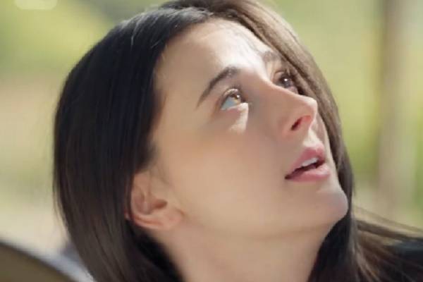 My Escort Boy Is A Billionaire Lexi Angel