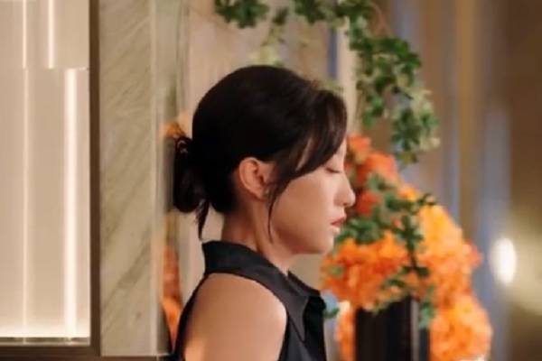 Silent Divorce Loud Regrets Chinese Drama Plot