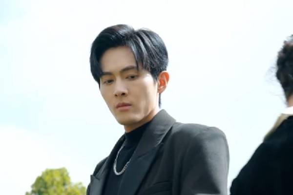 Too Late Mr CEO Chinese Drama Plots