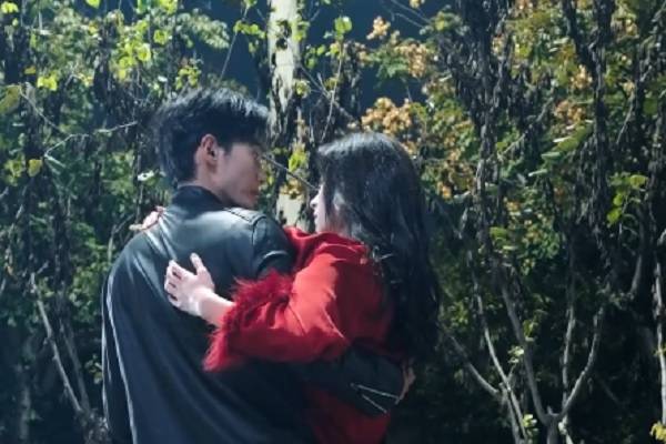 Too Late Mr CEO-Ex Chinese Drama Reviews