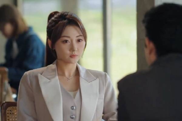 Divorce Lawyer Married By Mistake Chinese Drama Backstory