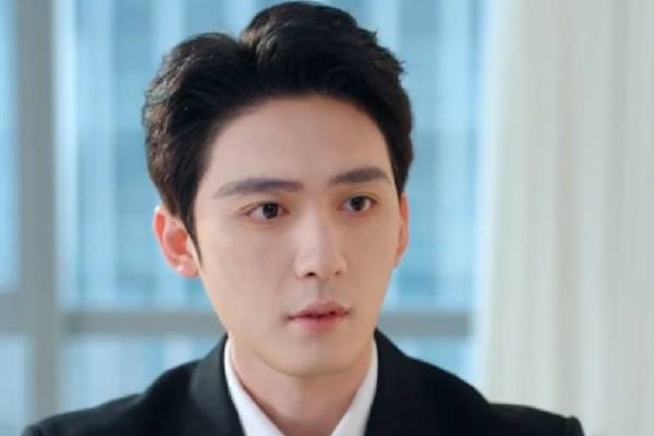 Divorce Lawyer Married By Mistake Chinese Drama Plots
