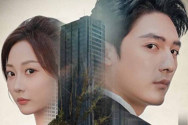 Divorce Lawyer Married By Mistake Chinese Drama