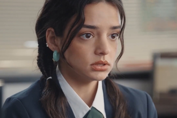 hating and loving my adopted brother summary