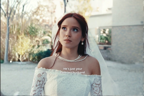 The Janitor Billionaire His Swapped Bride Cast