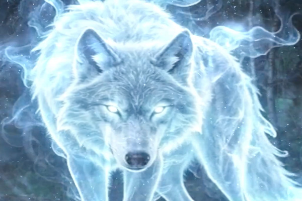 Alpha Queen Rising Watch Online Free