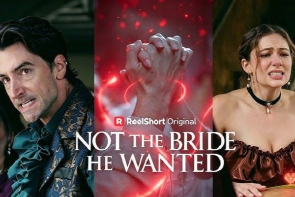 Not The Bride He Wanted Part 2