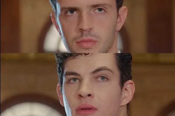 I Don't Need No Alpha Brothers Actors