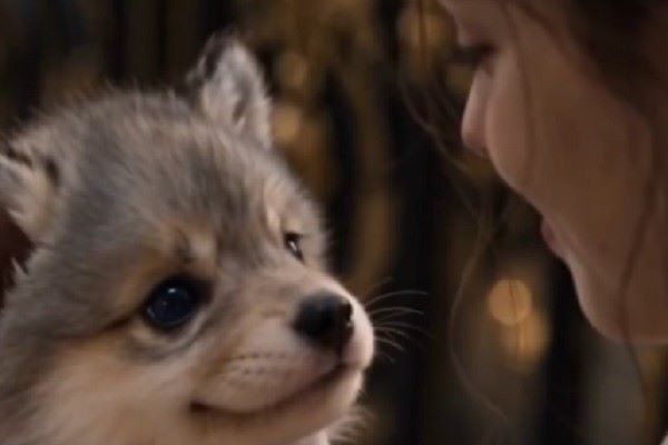 Hearing The Little Alpha’s Mind Saved My Life Werewolf Drama Plots Continuation