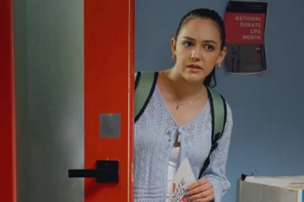 o medico chefe é o pai do meu bebe serie