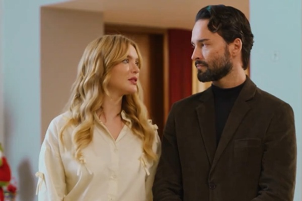 Casamento Blindado Um Contrato de Natal Livro