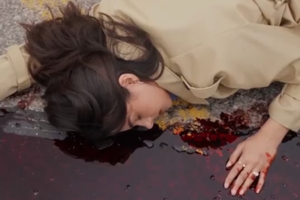 A Arte de Deixar Ir dailymotion elenco