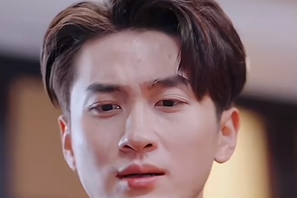 這一世我不愛了秦風線上看