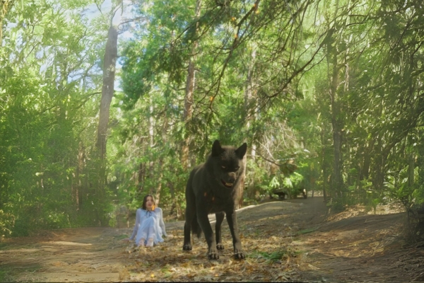 轉角遇見愛戀上我的命定狼王線上看