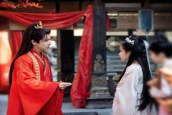 古裝短劇全集推薦 - 路將軍,你找錯夫人了